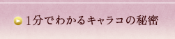 1分でわかるキャラコの秘密