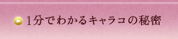 1分でわかるキャラコの秘密