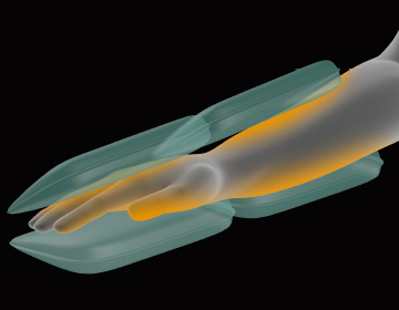 前腕温感ミルキングもみイメージ図