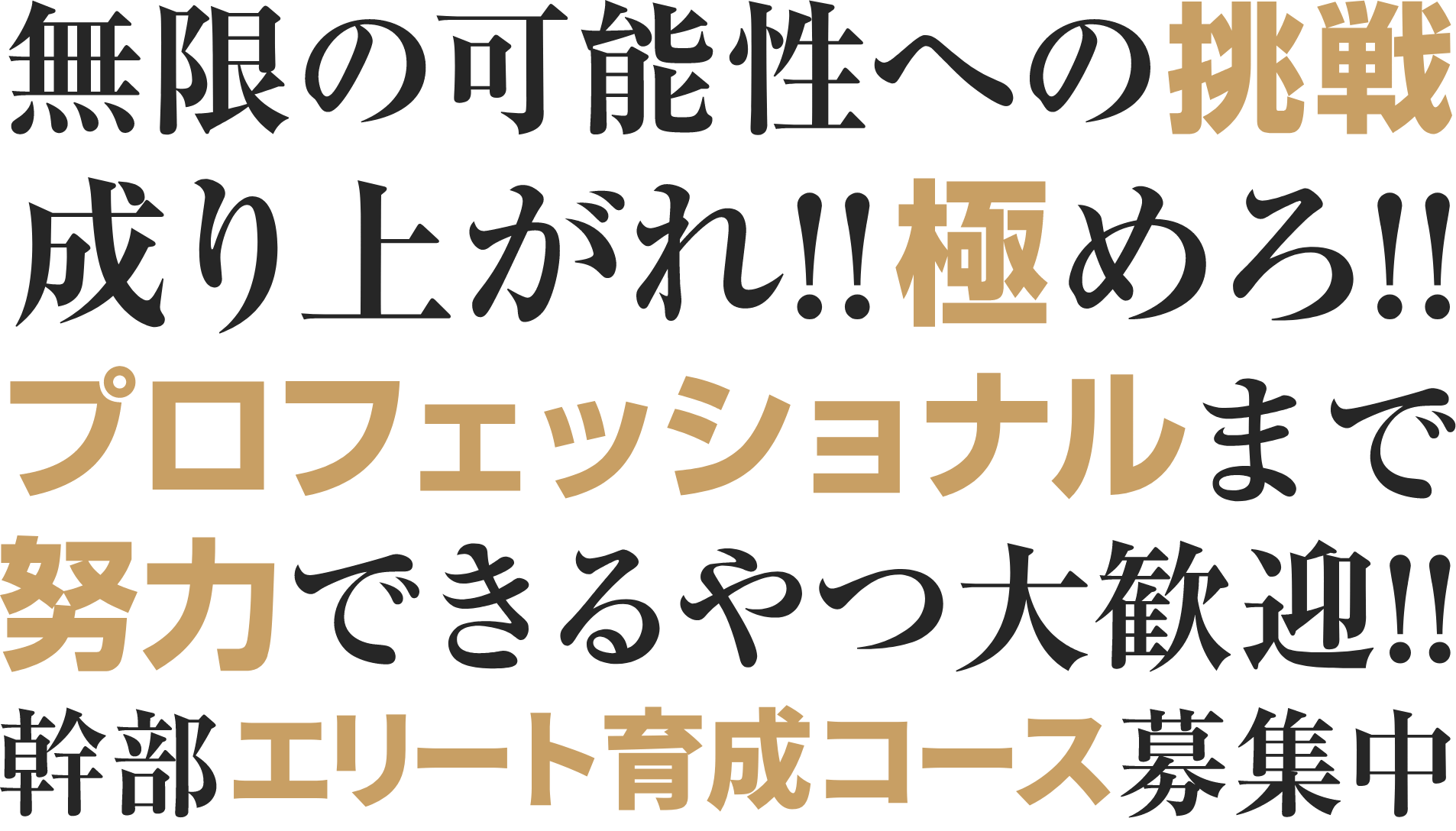 無限の可能性への挑戦 成り上がれ!!極めろ!! プロフェッショナルまで努力できるやつ大歓迎!! 幹部エリート育成コース募集中