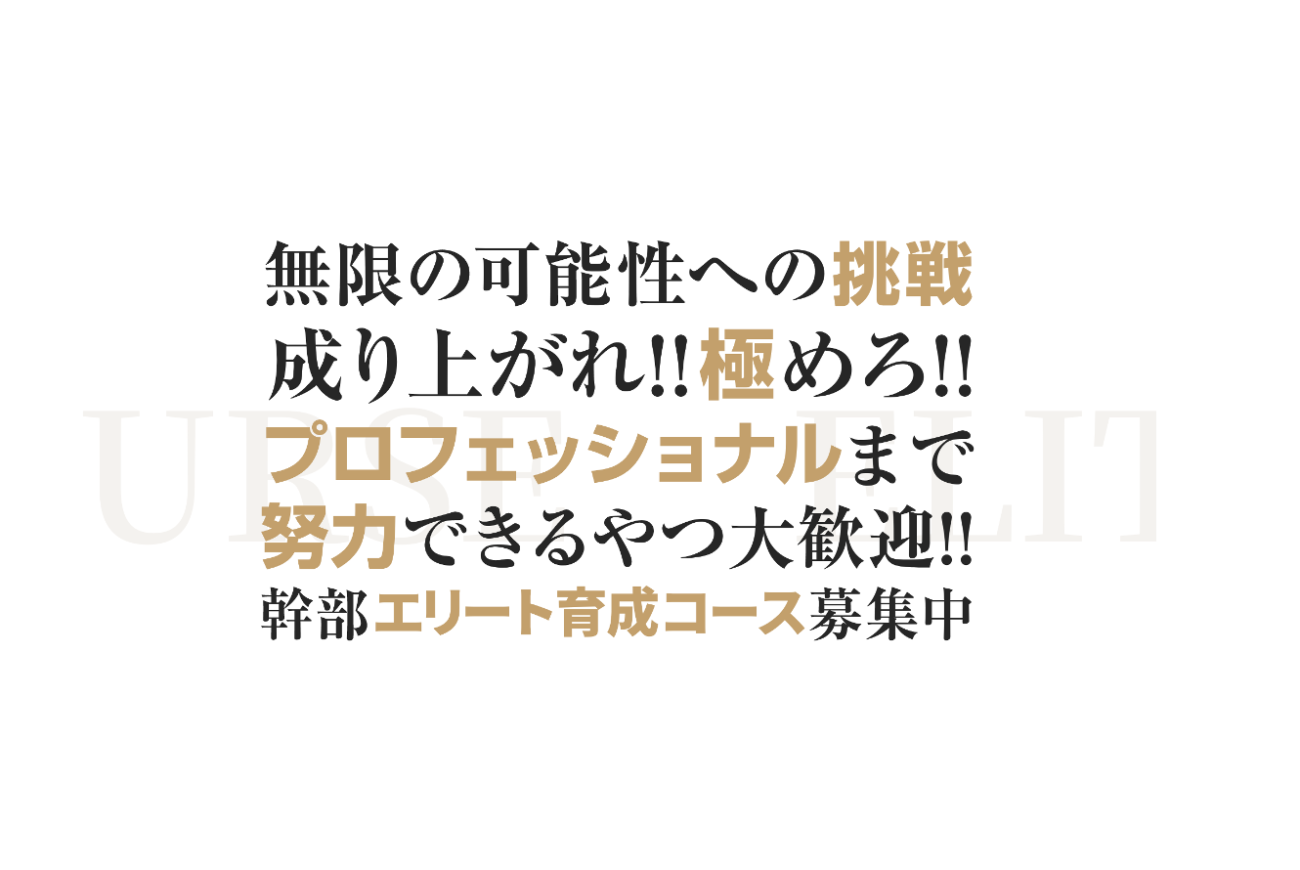 幹部エリート育成コース新設！