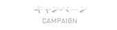Wキャンペーン