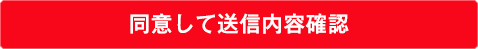 同意して送信内容確認