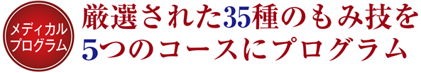 メディカルプログラム・厳選された35種のもみ技を5つのコースにプログラム