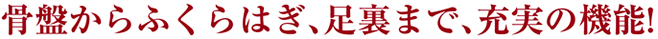 骨盤からふくらはぎ、足裏まで、充実の機能!