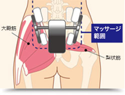 臀部のマッサージ範囲